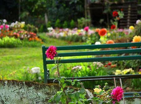 Oak Field Resort Муннар Екстер'єр фото