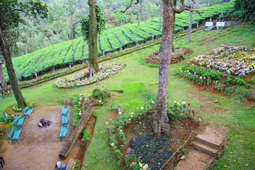Oak Field Resort Муннар Екстер'єр фото